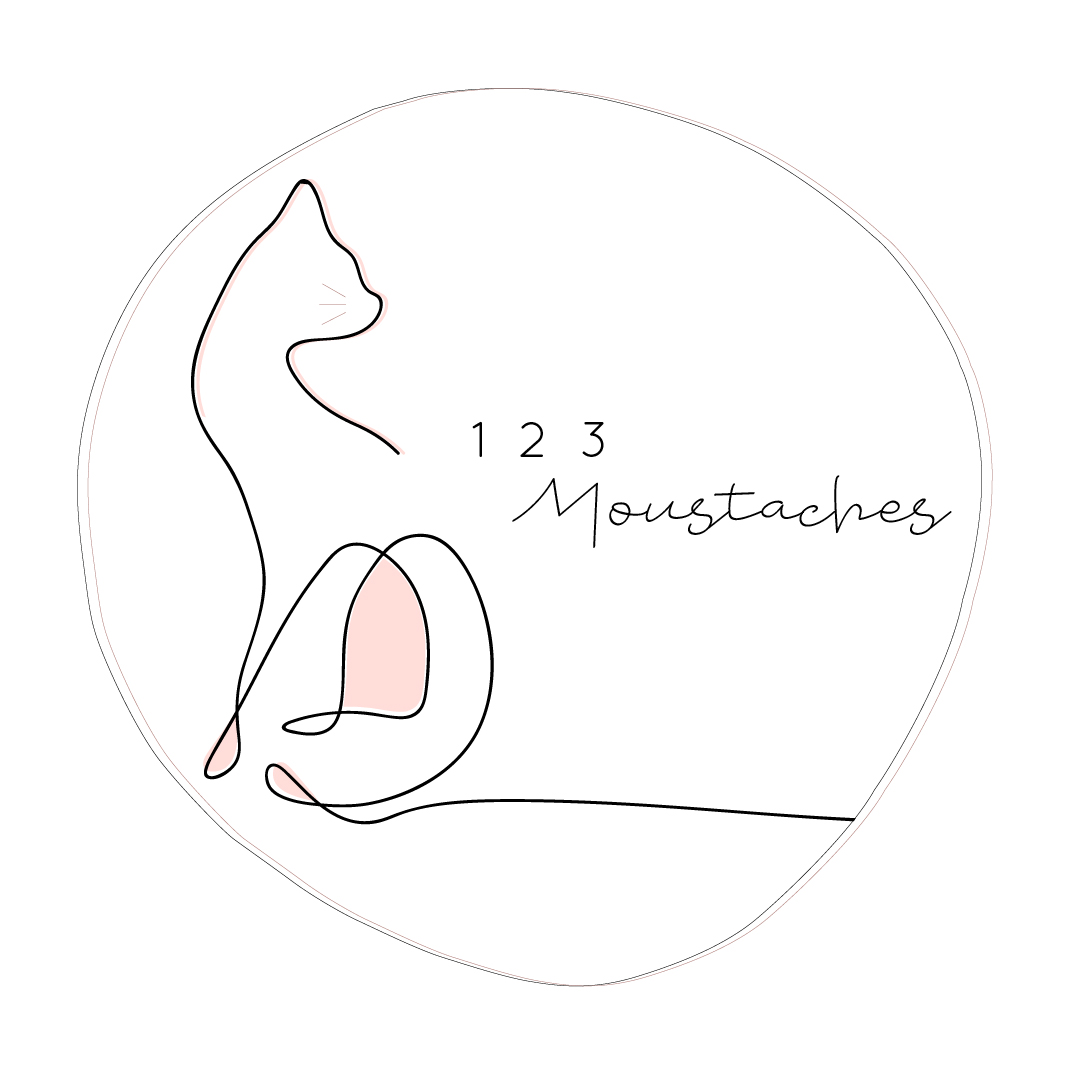 Logo de l'entreprise 123 moustaches.