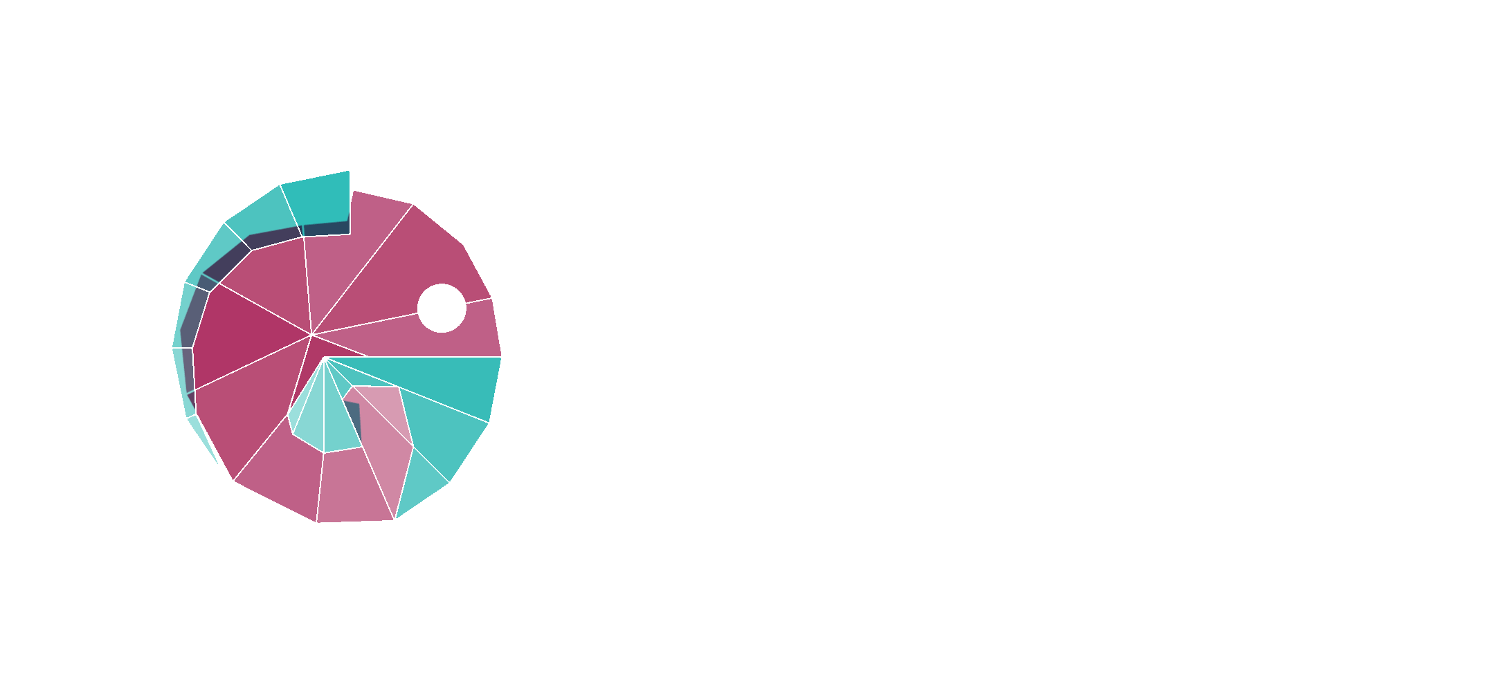 pardalys logo RVB_2