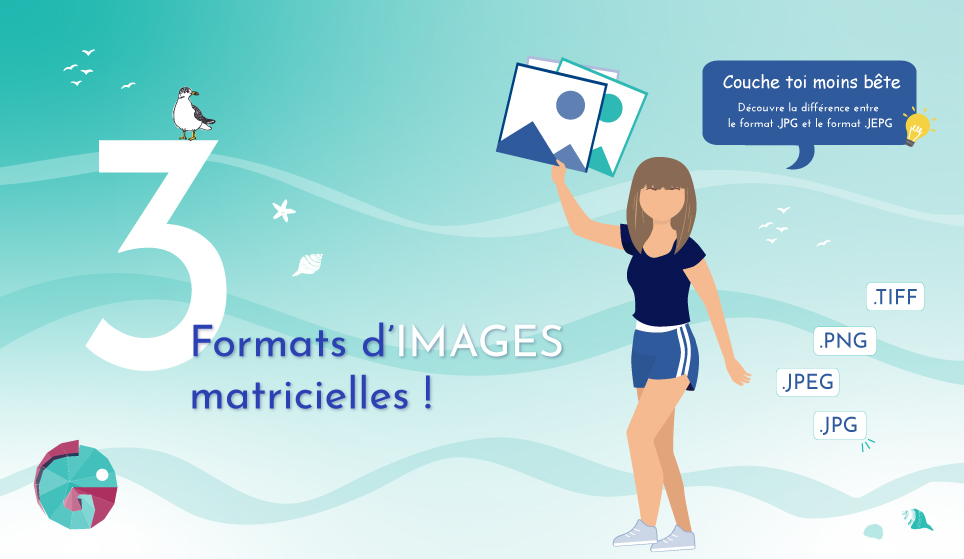 3 formats d’images matriciels (JPEG, PNG, TIFF)